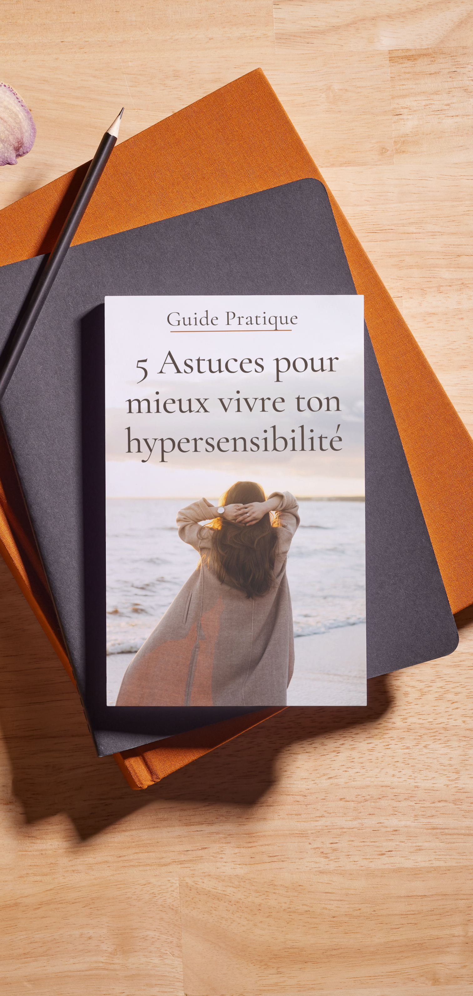 Ebook cover with a lady looking at the sea